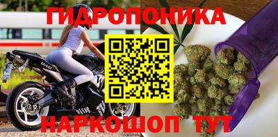 apvp Кунгур