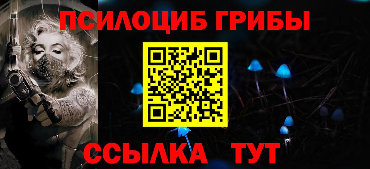 Псилоцибиновые грибы Psilocybe Ижевск